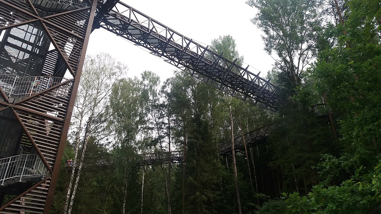 Anykščių medžių lajų takas